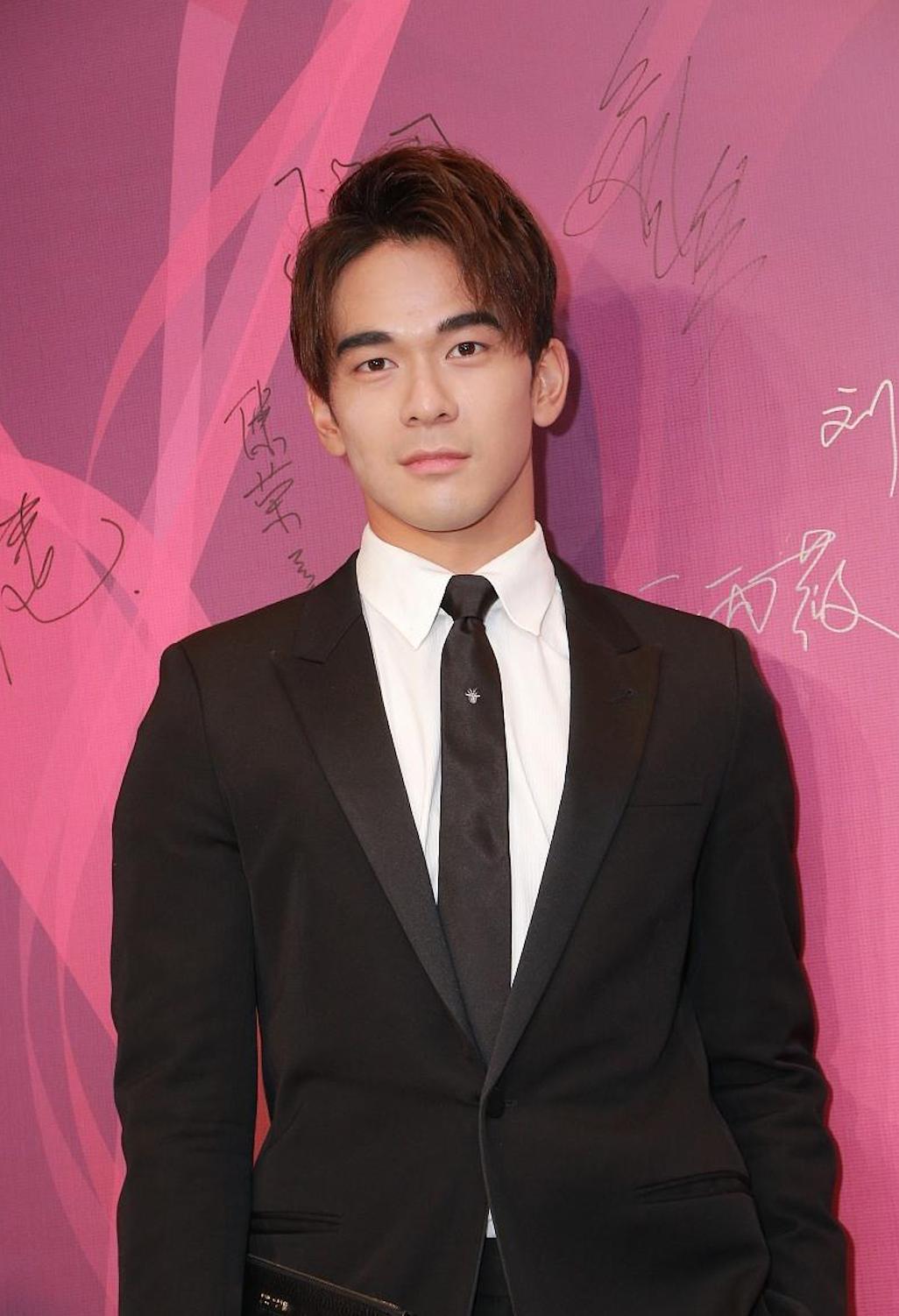 猫咪翻译器真的能听懂猫叫吗？手把手教你下载使用