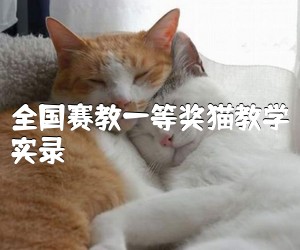 猫咪考级视频一级真的这么难吗？