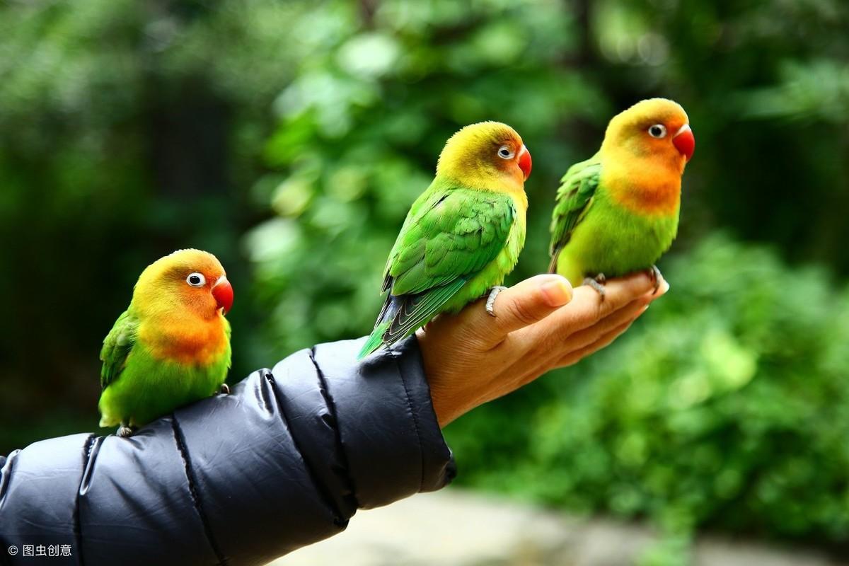 梦见已故老人又要死了？2025年星座运势与3招化解术