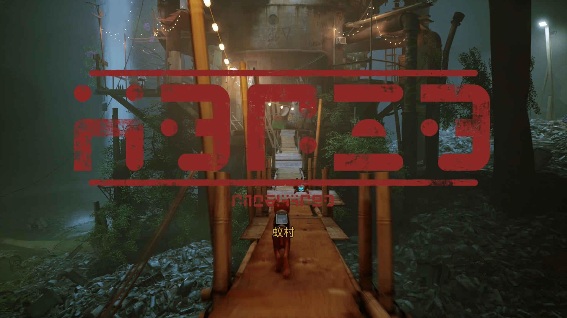 猫咪为什么总把家里当成冒险乐园？