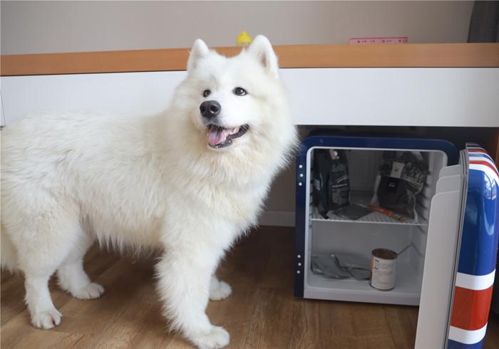 英国留学找不到组织?这些华人论坛让你秒变老司机 英国留学找不到组织?这些华人论坛让你秒变老司机