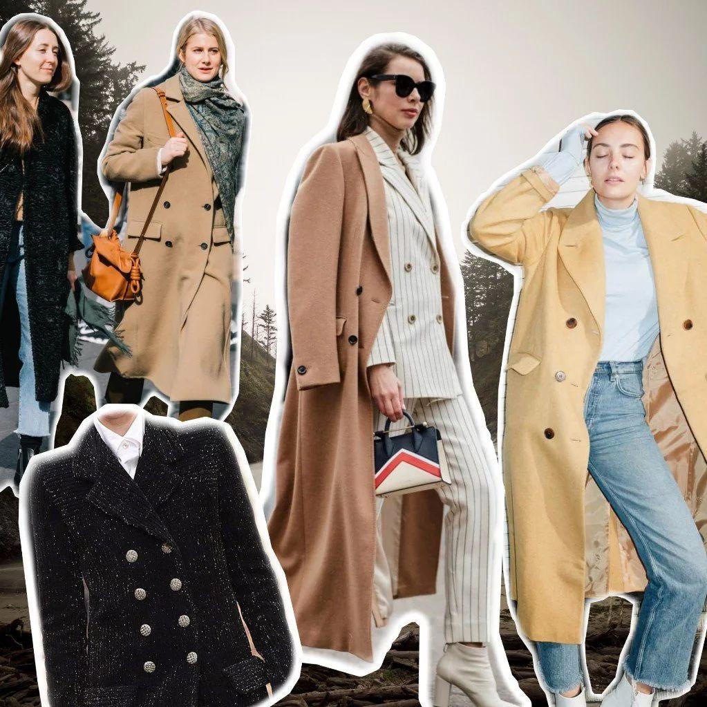 哪里能找到让人瞬间融化的猫咪神仙图？