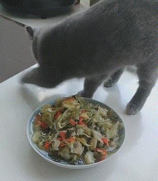 麦玲玲算命能帮你避开人生大坑吗？