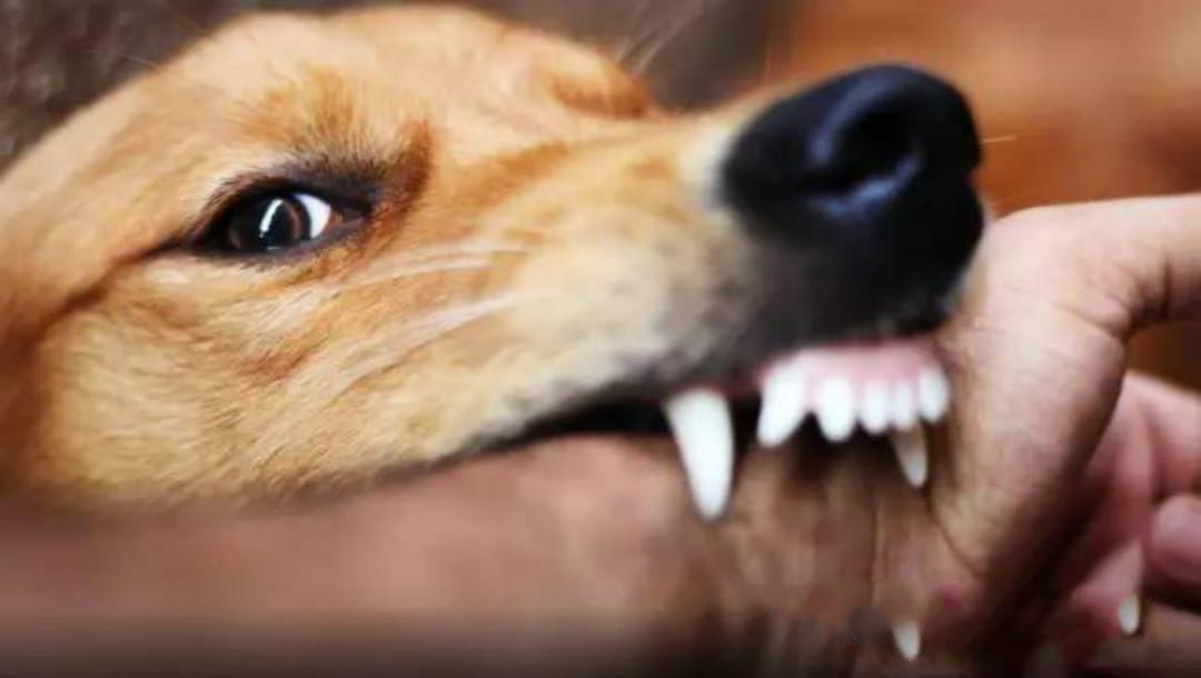 你家猫咪还在舔水龙头吗? 你家猫咪还在舔水龙头吗?