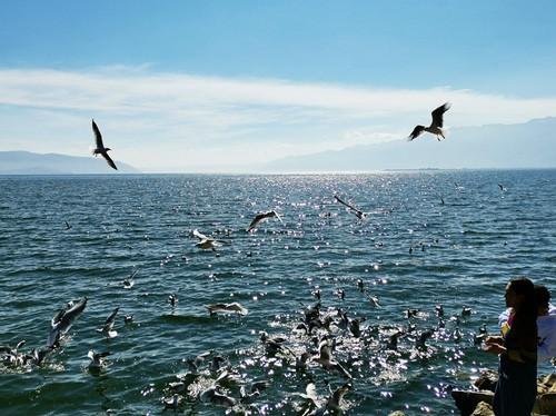 梦芭莎2015女装春装