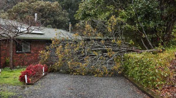 在德国开车遇到车祸该怎么处理？华人论坛的实战经验靠谱吗？