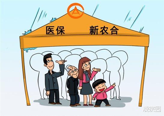 交社保必须停新农合吗？城乡居民vs职工社保，选对不用停？