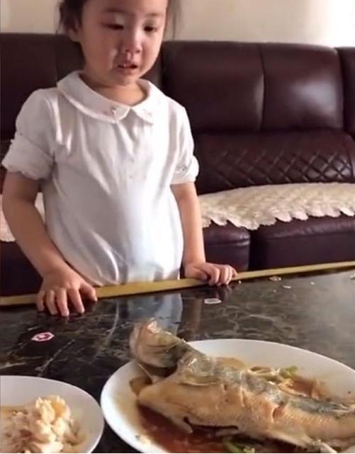 第一次养猫如何避免被坑成冤大头？