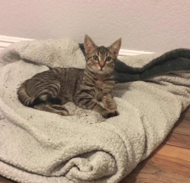 梦见小小孩子？2025解梦指南：3步化解情感与事业困局