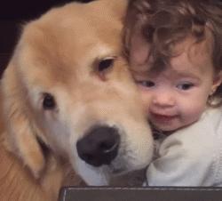 主子下嘴没轻没重？这届铲屎官该咋办？