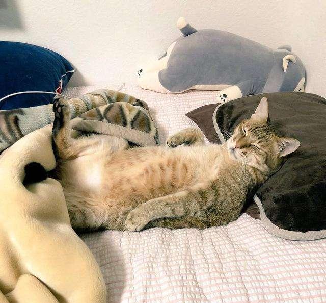 梦见十几岁女孩是吉是凶？2025年3大维度解析运势密码