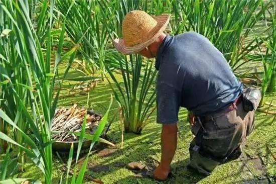 梦见自行车从高处摔坏?2025年运势解码与重生指南 梦见自行车从高处摔坏?2025年运势解码与重生指南