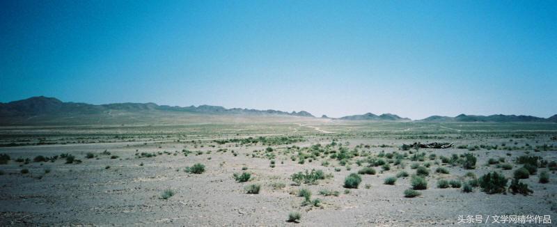 你家猫主子到底是何方神圣？