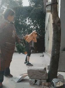 猫咪吃啥才能胖成煤气罐？