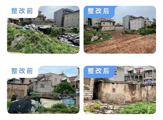 厦门车辆违章查询网使用指南，车辆违章处理流程解析，在线缴费渠道对比