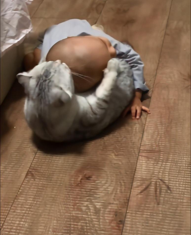 猫咪驱虫后马上洗澡会出事吗? 猫咪驱虫后马上洗澡会出事吗?