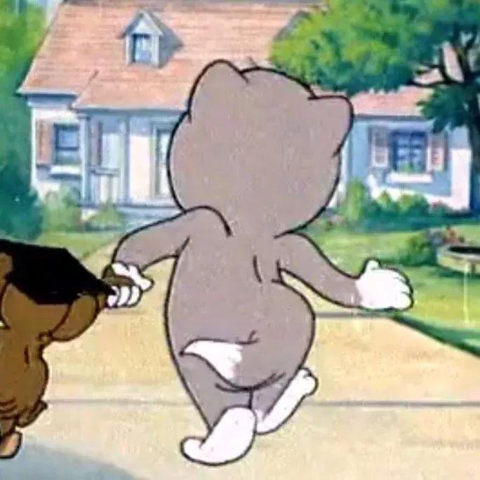 为什么别人的猫咪头像总比你萌? 为什么别人的猫咪头像总比你萌?