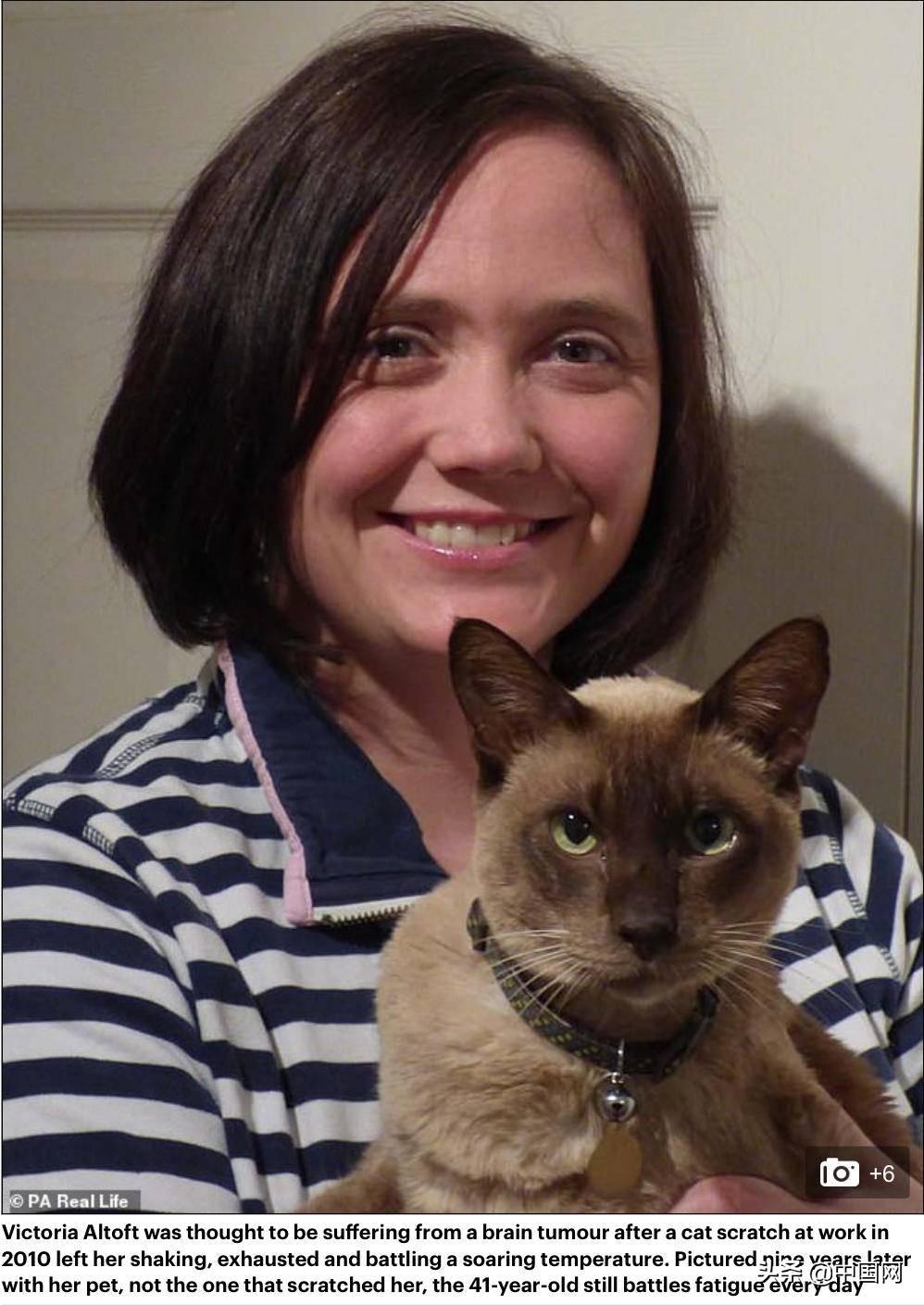 猫咪怀孕几周后能看出明显变化？