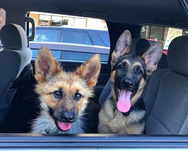 2025年梦见产科很多婴儿的5大预兆与化解术