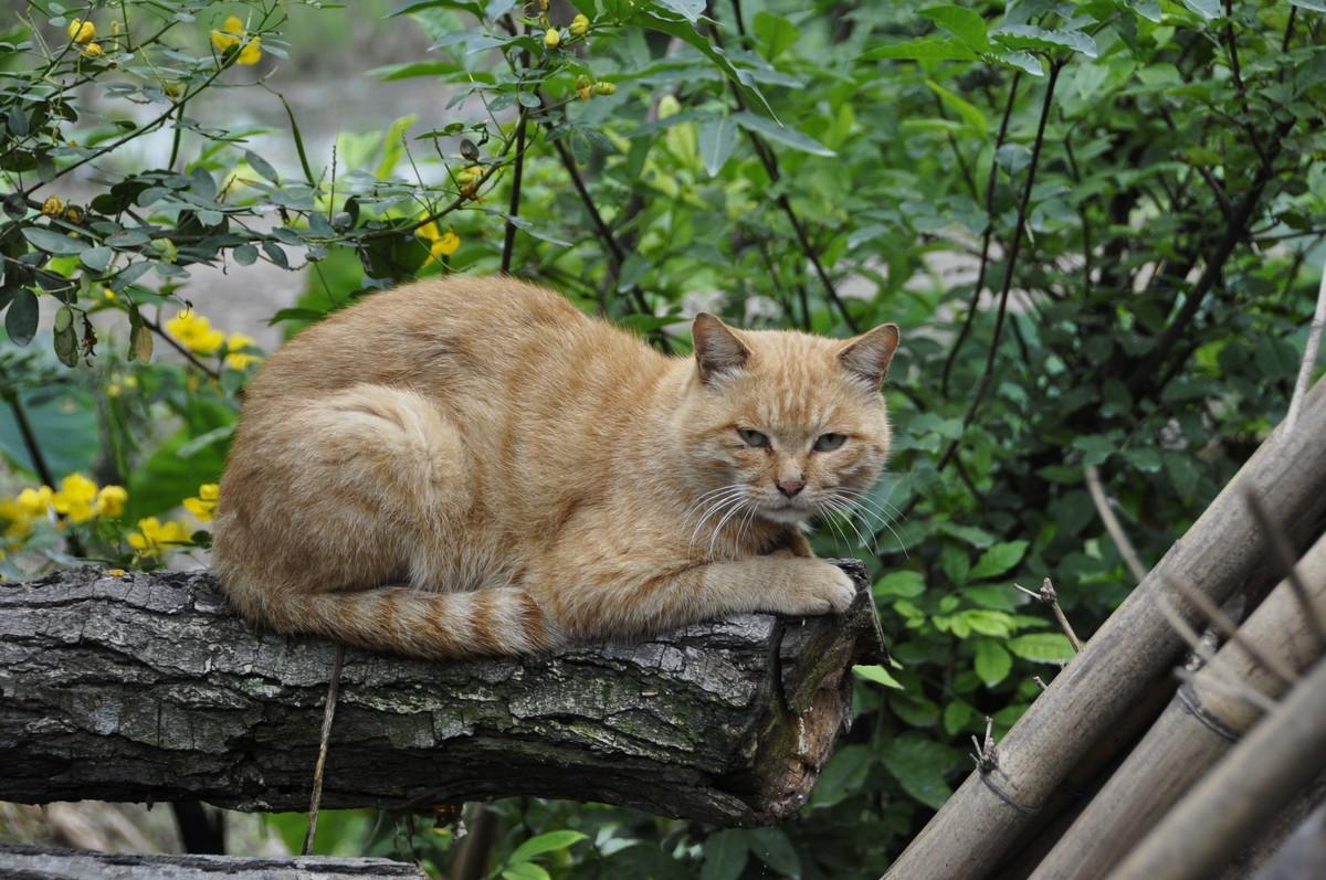 印度尼西华人论坛到底该怎么用? 印度尼西华人论坛到底该怎么用?