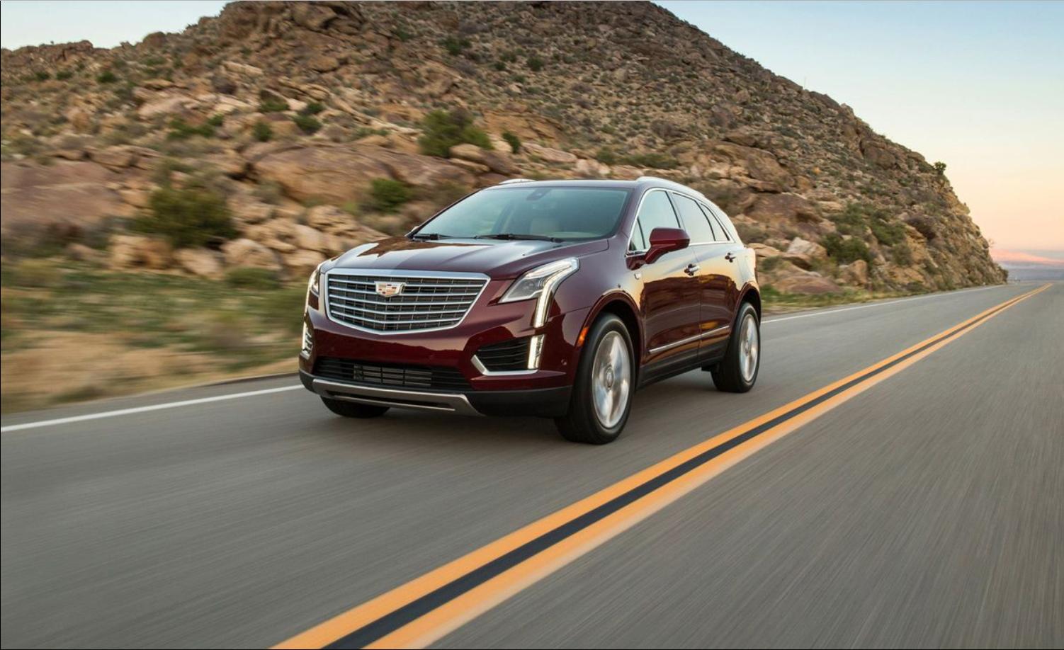 新手买猫咪面具最容易踩哪些坑？