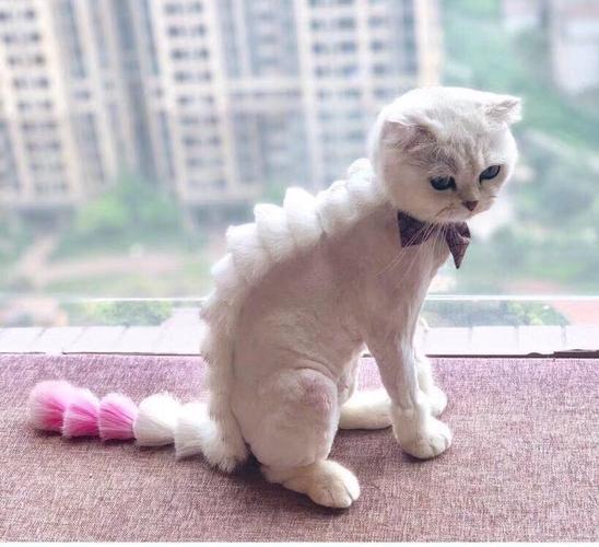 猫咪换了主人会抑郁吗? 猫咪换了主人会抑郁吗?