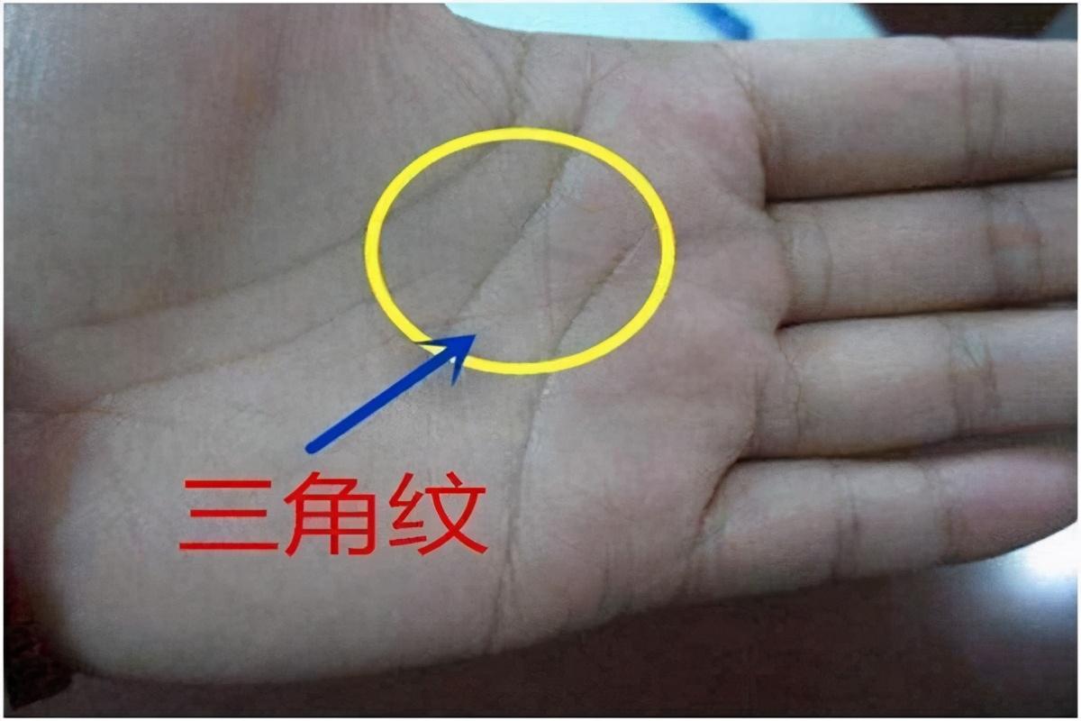 如何在俗人岛论坛三天混成老油条？