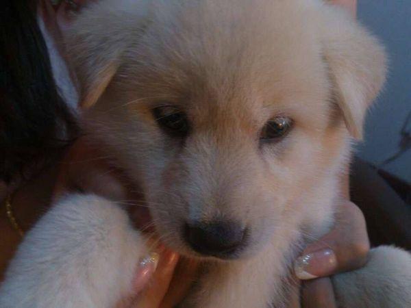 算命的瞎子为啥能算得准？