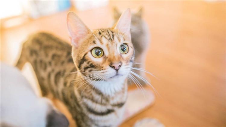 梦见和不对眼的人说话预示什么？2025年天蝎座人生转折预警