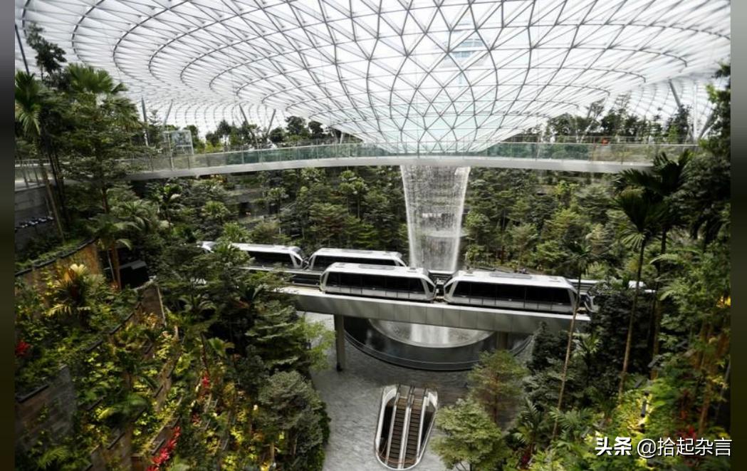 日本选手为何称樊振东为 乒乓球怪物 ？