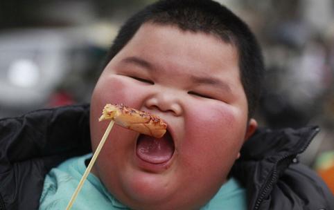 你家猫主子为啥喝水都能长膘？