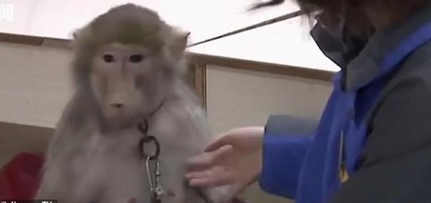 福克斯论坛汽车之家，车主真实评价大揭秘，购车前必看的三大理由