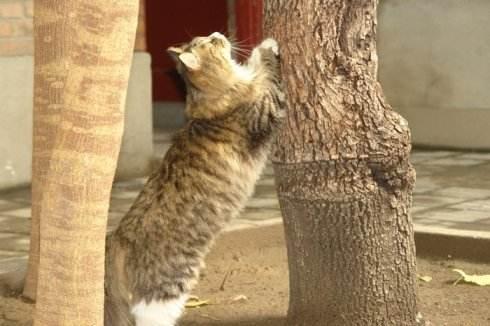 1977年出生的人真的自带财库吗？