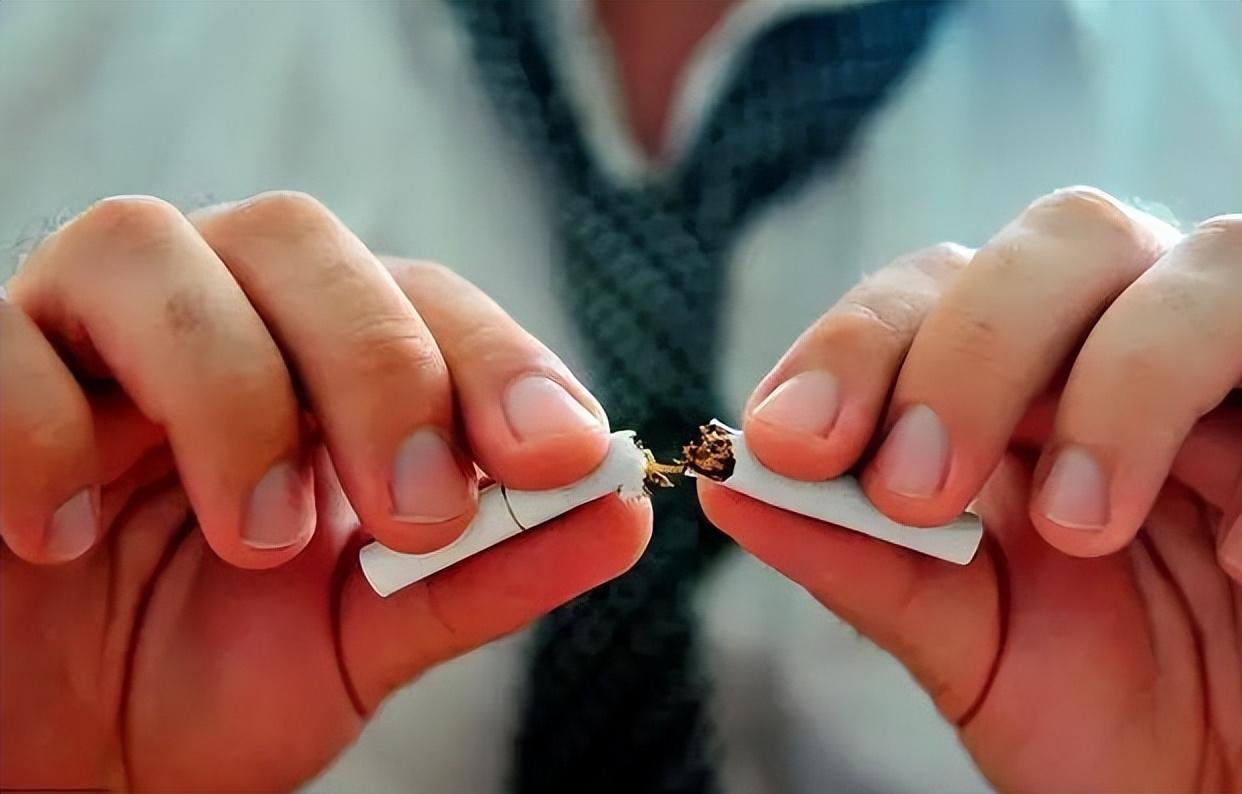 500多万美国华人到底来自哪些省份？