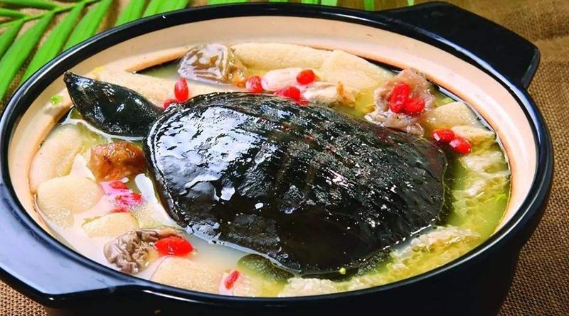 四两重的骨头真能决定女人命运? 四两重的骨头真能决定女人命运?