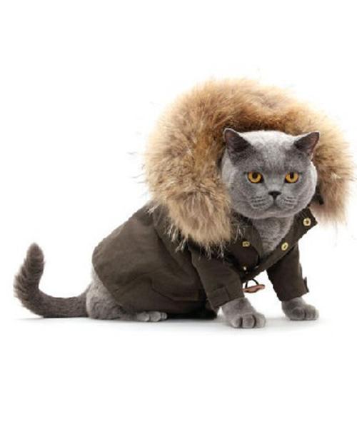 萨维朗到底怎么玩？新手入坑必看生存指南