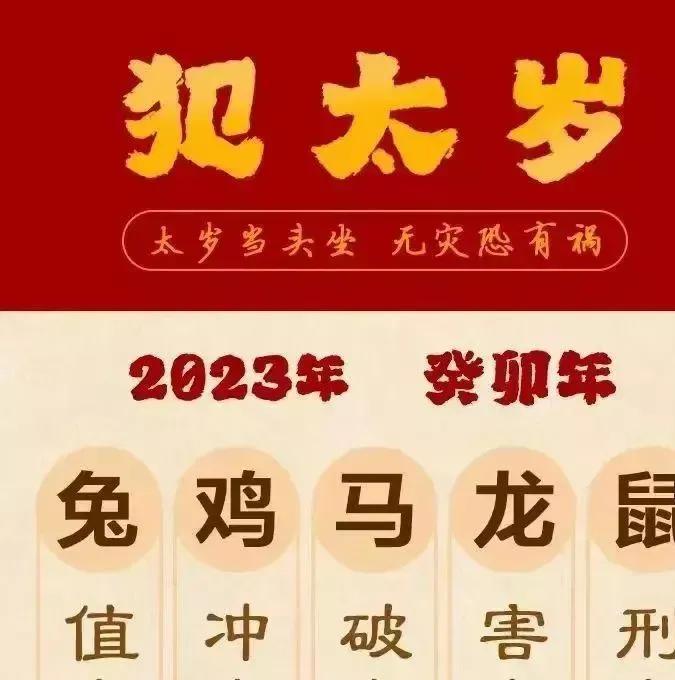 2024年12生肖号码到底藏着什么玄机? 2024年12生肖号码到底藏着什么玄机?
