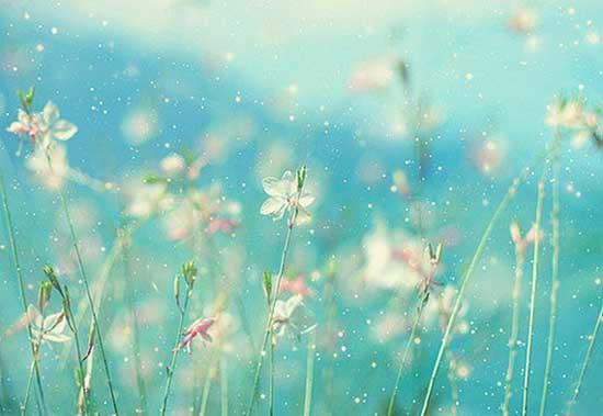 你的命运真的藏在手掌和脸上吗？