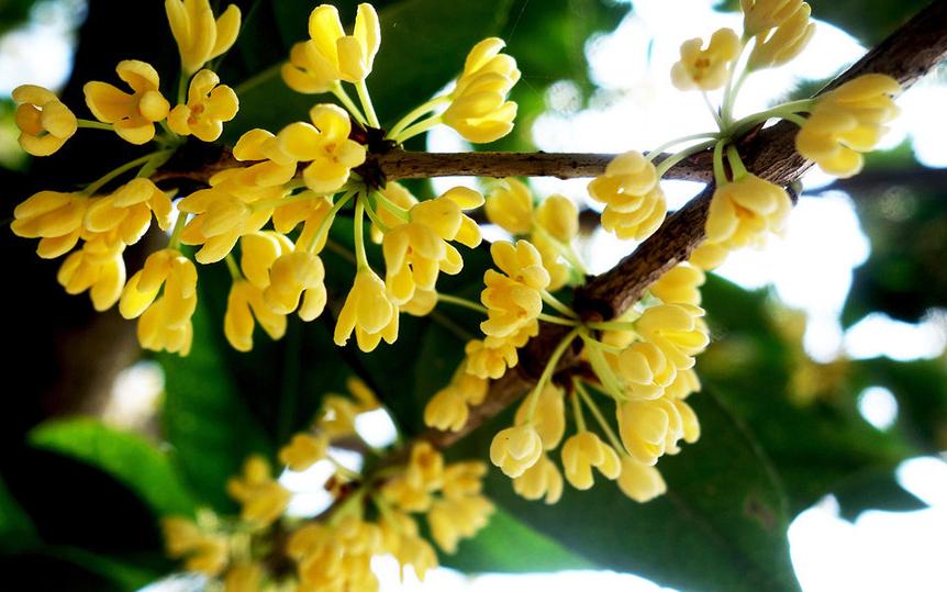 出生月份真的能决定命运吗？