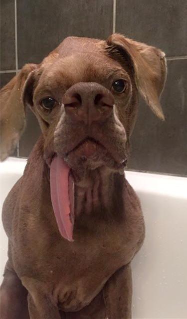 牙齿形状真能看出命运好坏吗？