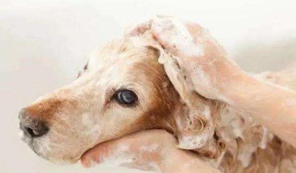 6月13日活动到底藏着多少新手不知道的坑? 6月13日活动到底藏着多少新手不知道的坑?