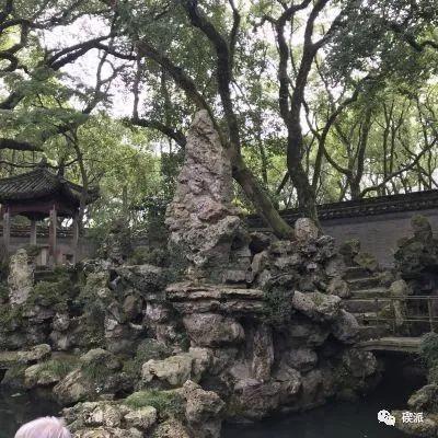 给猫穿狮子装会不会让它觉得我是个傻子？