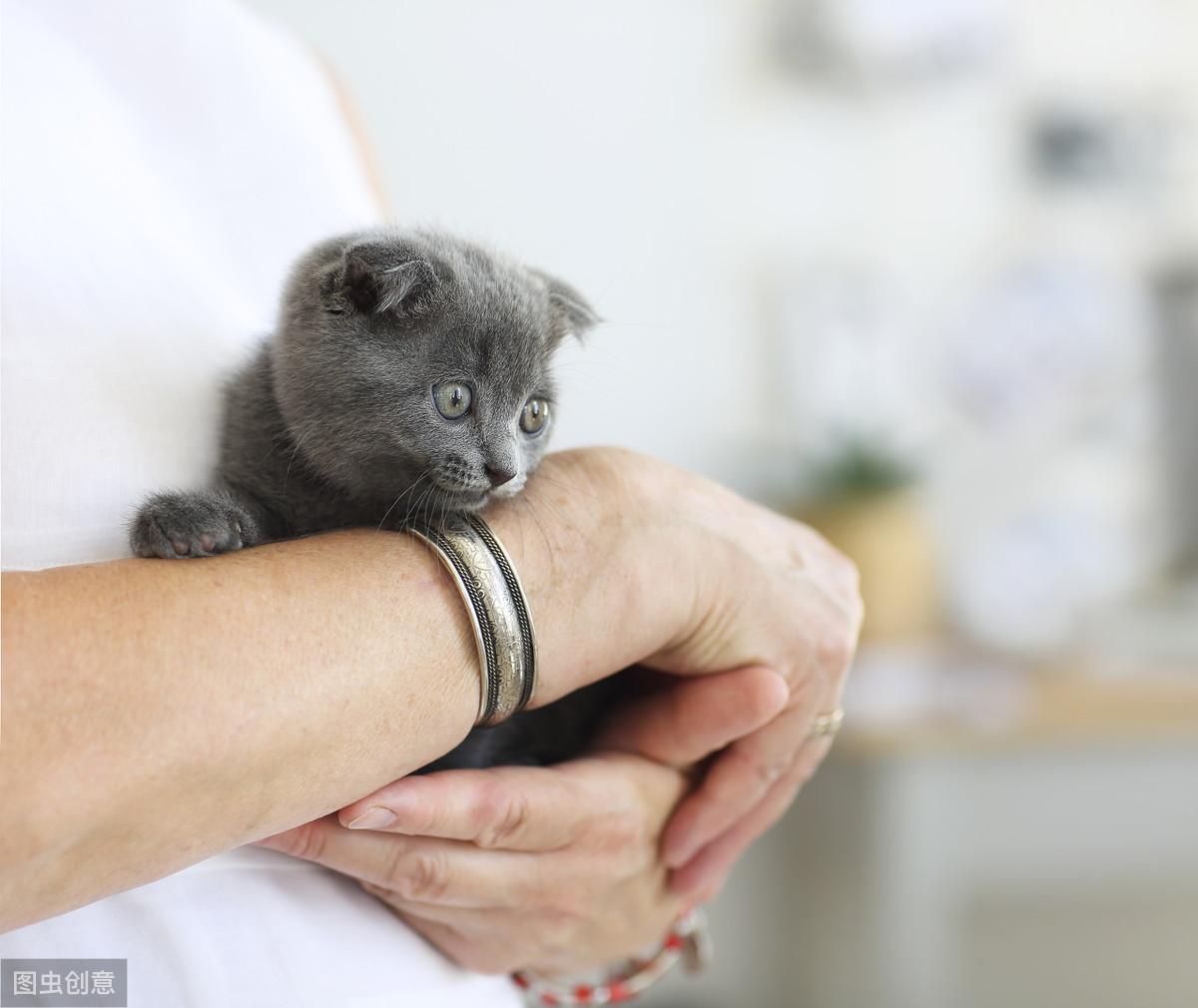 月薪五千能买到靠谱的二手长安奔奔吗？