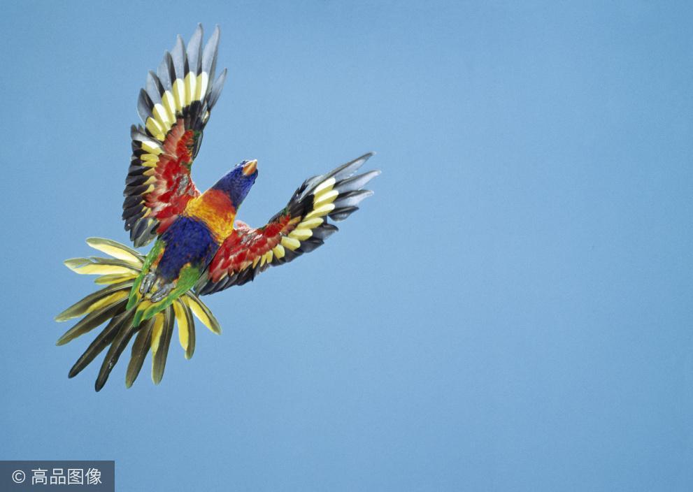 华人论坛AV区到底怎么玩才不踩坑? 华人论坛AV区到底怎么玩才不踩坑?