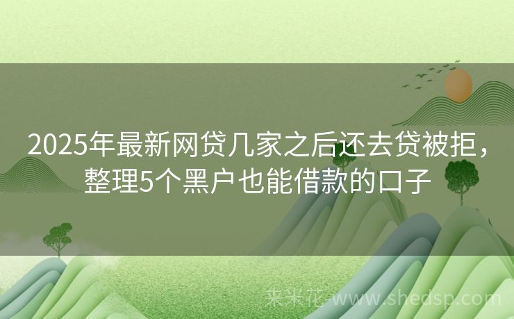 黑户急用钱别慌！能下款的网贷口子整理好了，2025年申请这些更靠谱