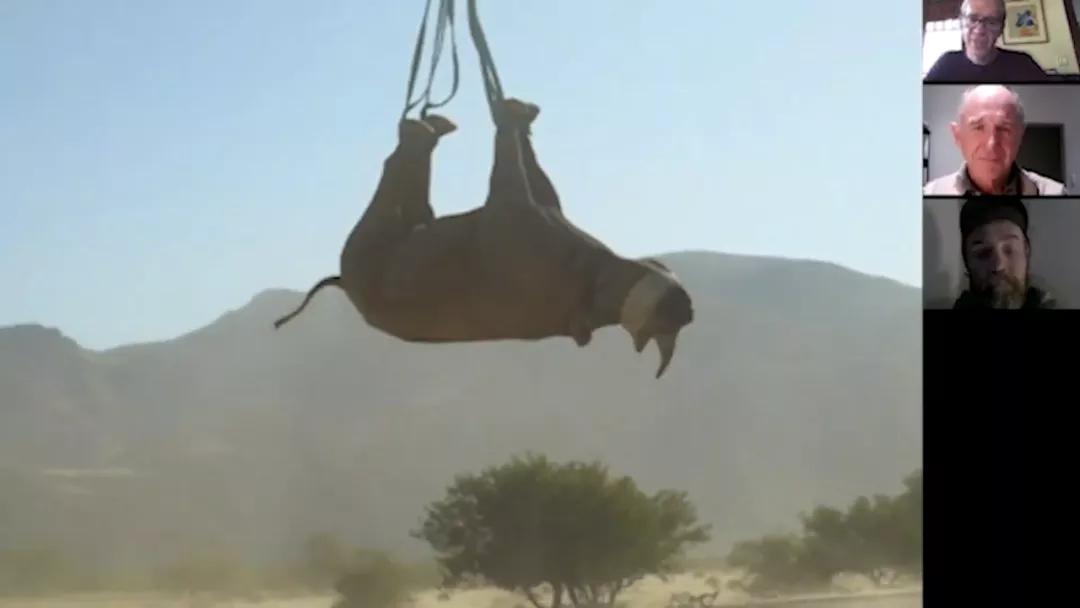 猫咪突然变水牛？小心这些隐藏的健康警报！