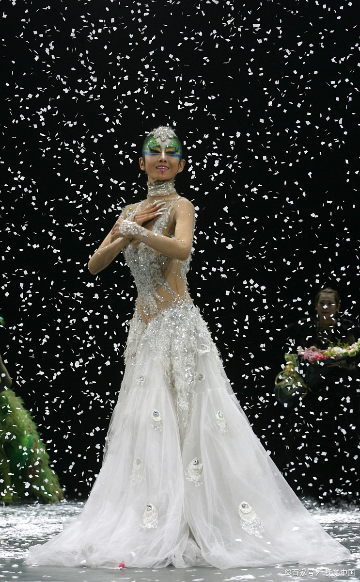 杨丽萍事件争议点 杨丽萍事件争议点