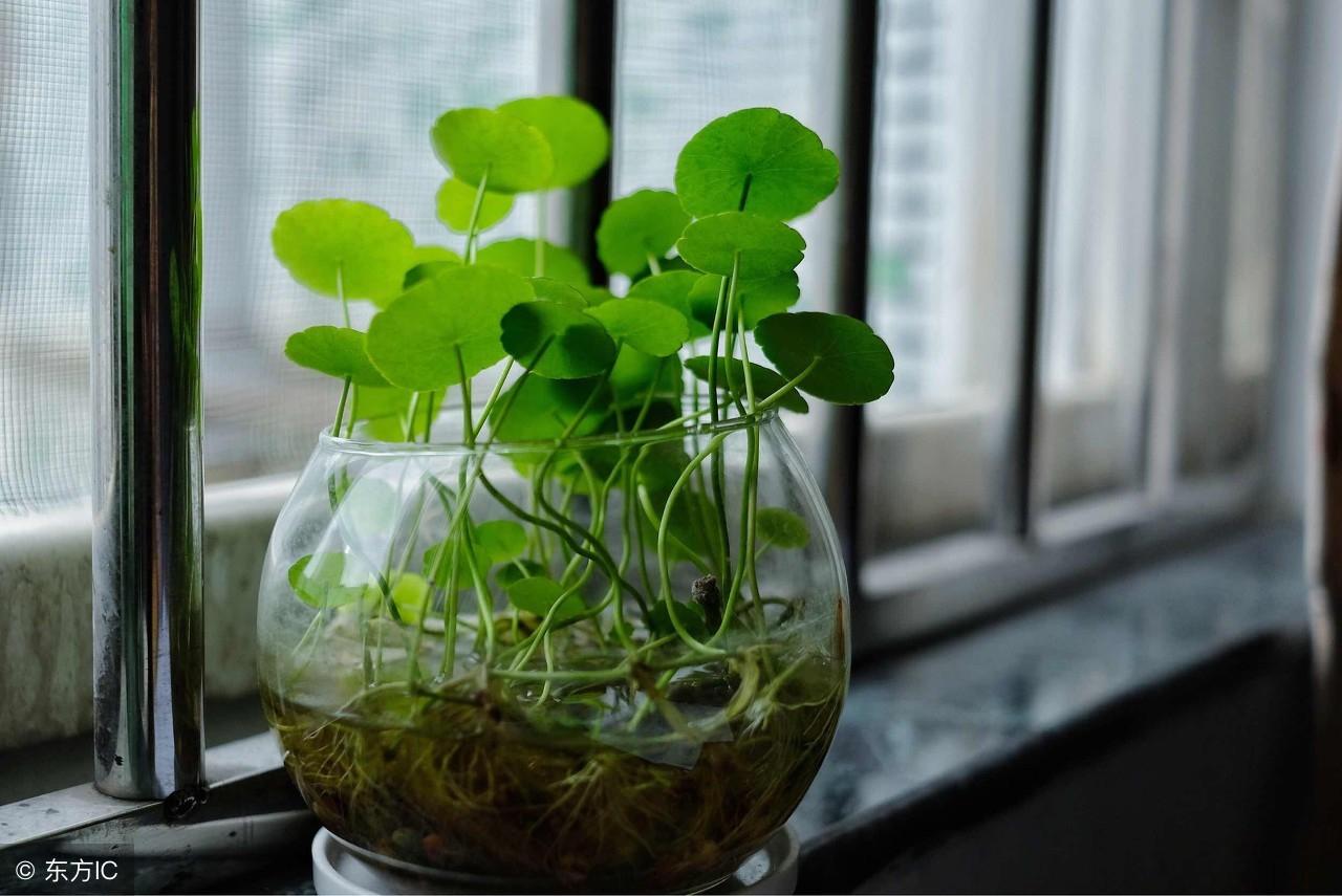 你的名字真能决定财运?免费算命方法靠谱吗? 你的名字真能决定财运?免费算命方法靠谱吗?