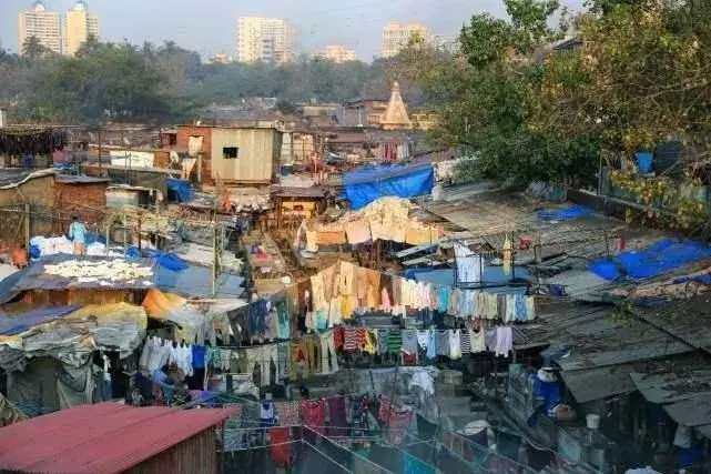 印度又穷人口又多，这之间有什么关联吗？带你一探究竟！