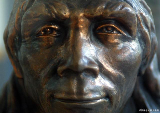 北京猿人是不是我们的祖先？科学争论中的真相探寻